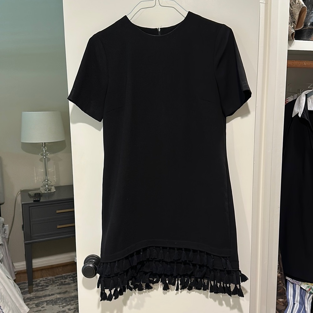Zara tassel bottom mini dress